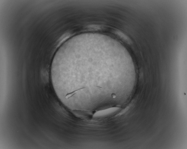 X0000086791409200705041539