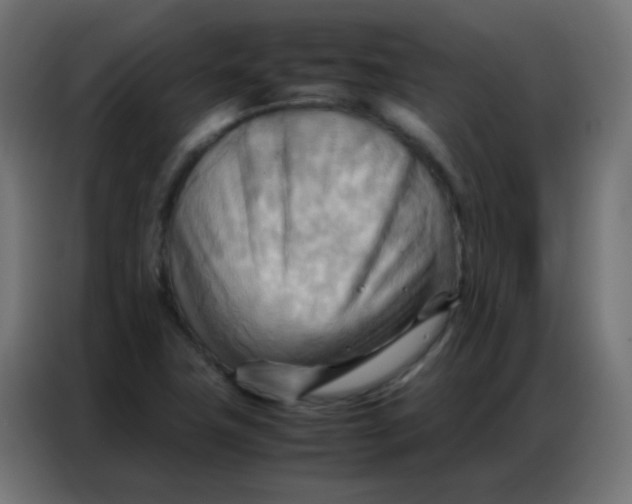 X0000086791411200705041539