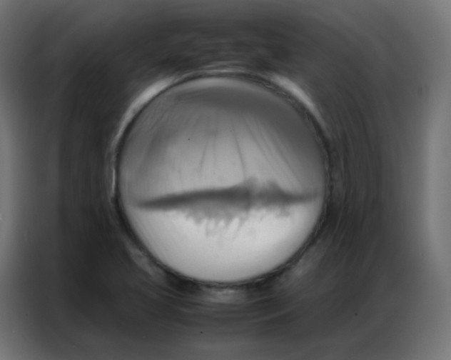 X0000086791413200705041539