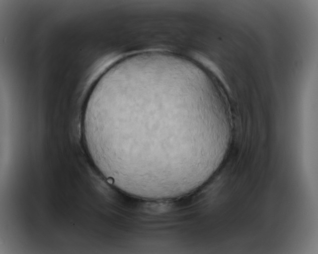 X0000086791415200705041539