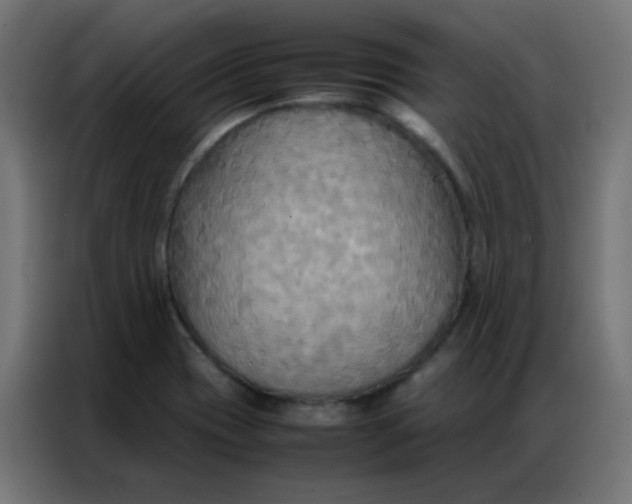 X0000086791417200705041539