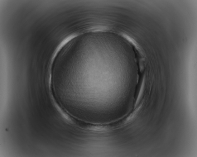 X0000086791418200705041539