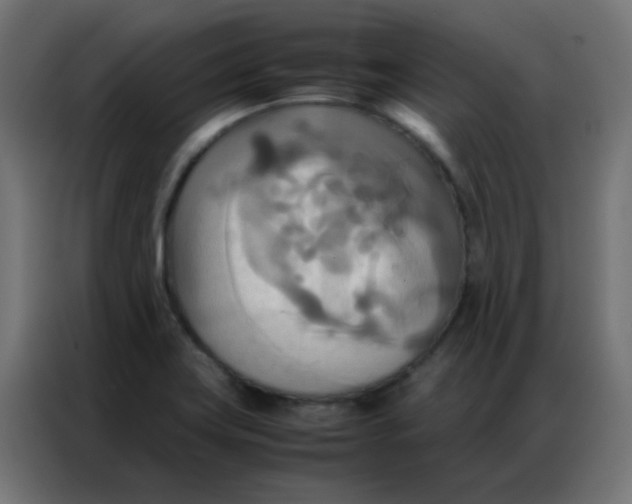 X0000086791419200705041539