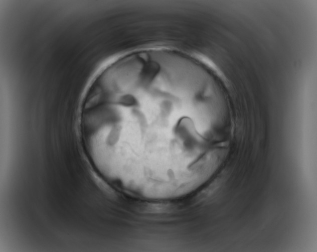 X0000086791421200705041539