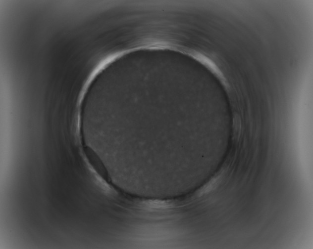 X0000086791424200705041539