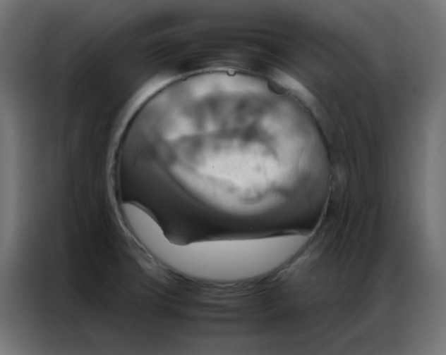 X0000086791427200705041539