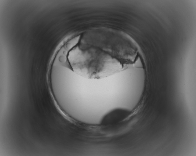 X0000086791429200705041539