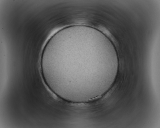 X0000086791432200705041539