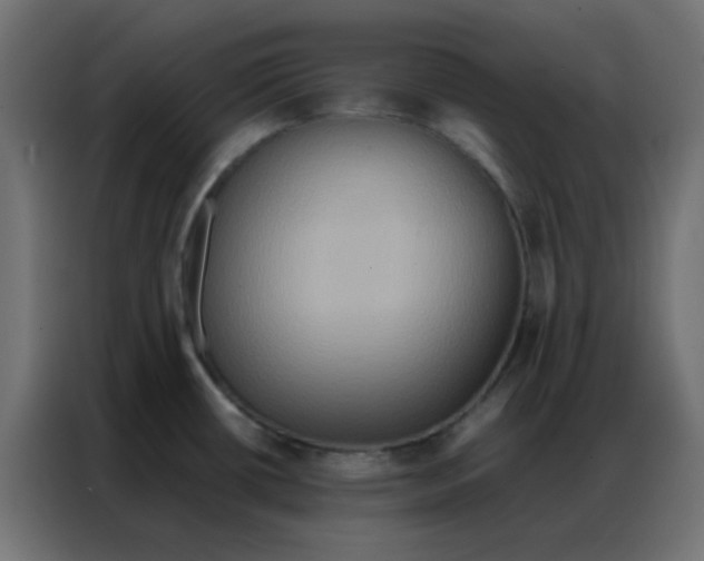 X0000086791434200705041539