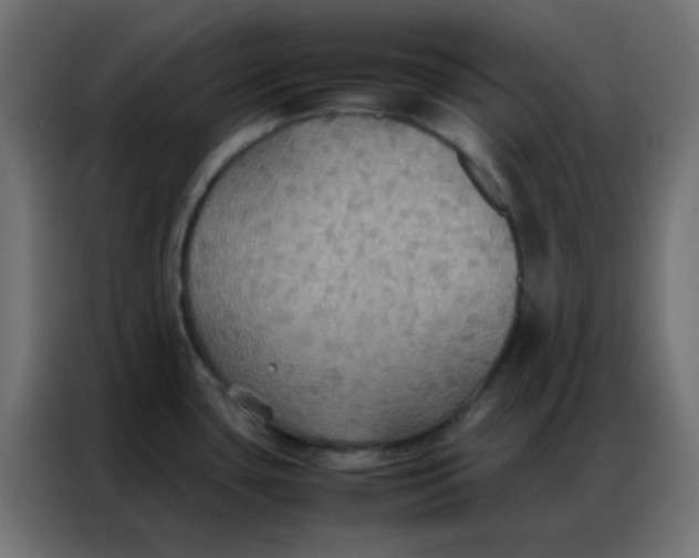 X0000086791435200705041539