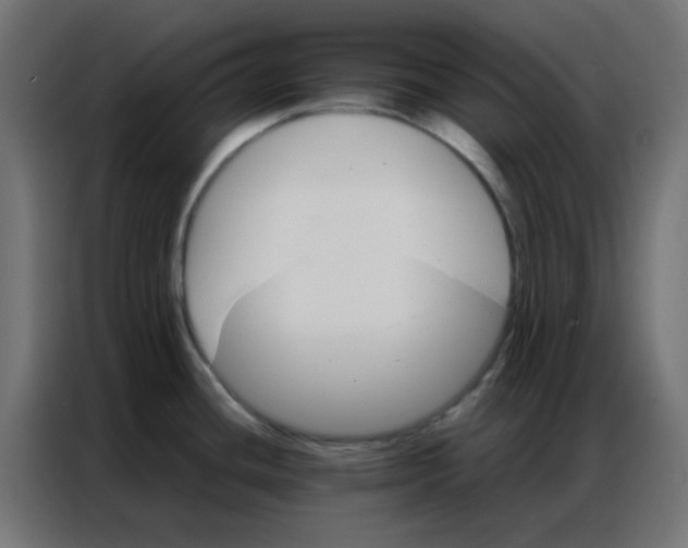 X0000086791436200705041539