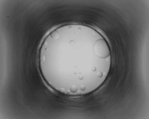 X0000086791437200705041539