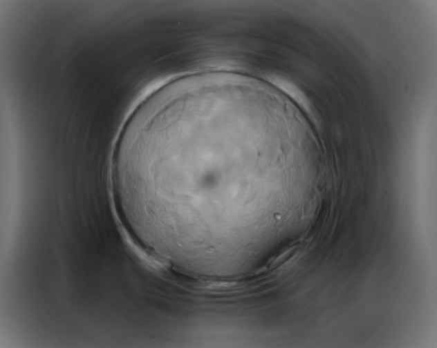 X0000086791439200705041539