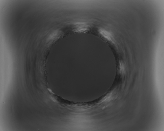 X0000086791441200705041538