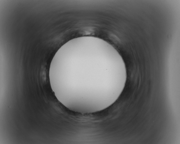 X0000086791442200705041538