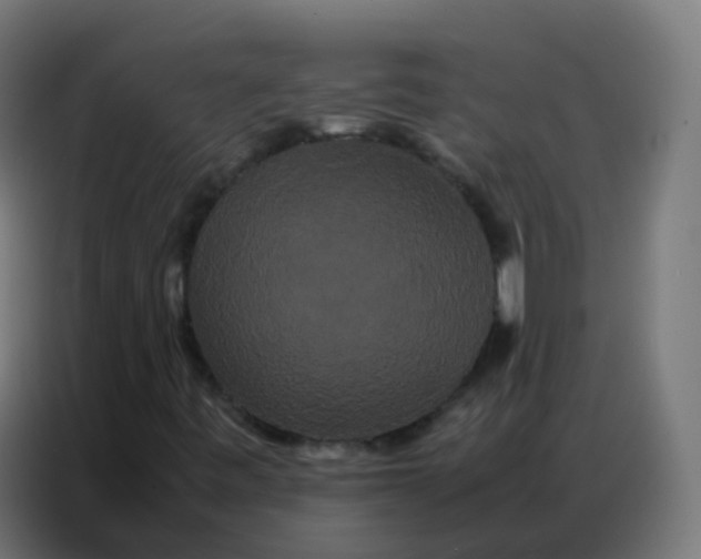 X0000086791443200705041538