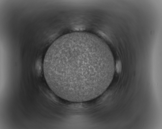 X0000086791444200705041538