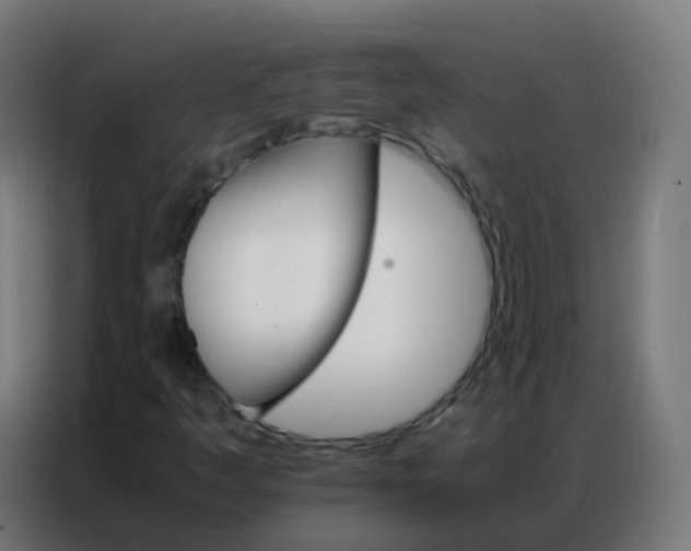 X0000086791445200705041538