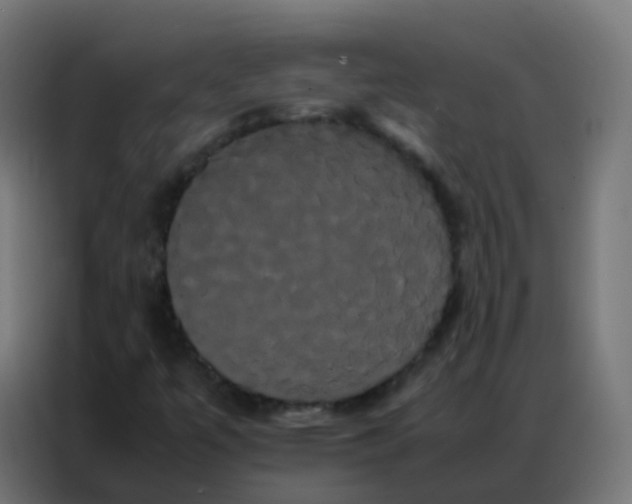 X0000086791447200705041538