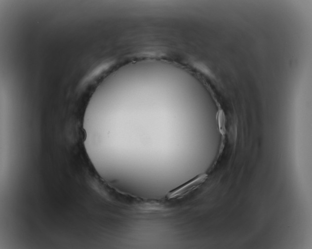 X0000086791448200705041538