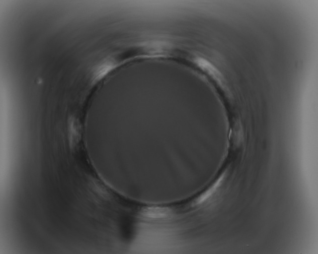 X0000086791449200705041538