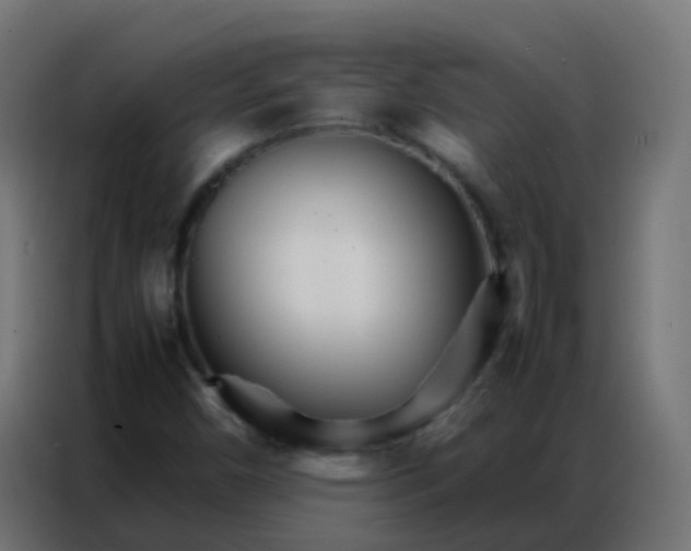 X0000086791450200705041538