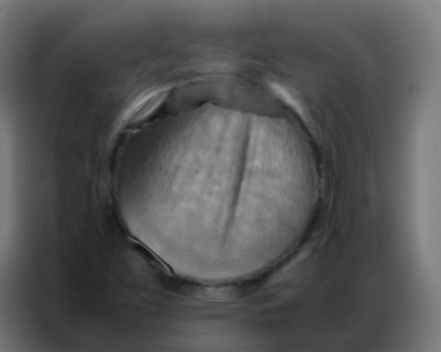 X0000086791453200705041538