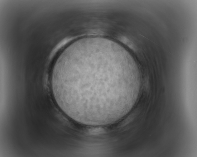 X0000086791454200705041538