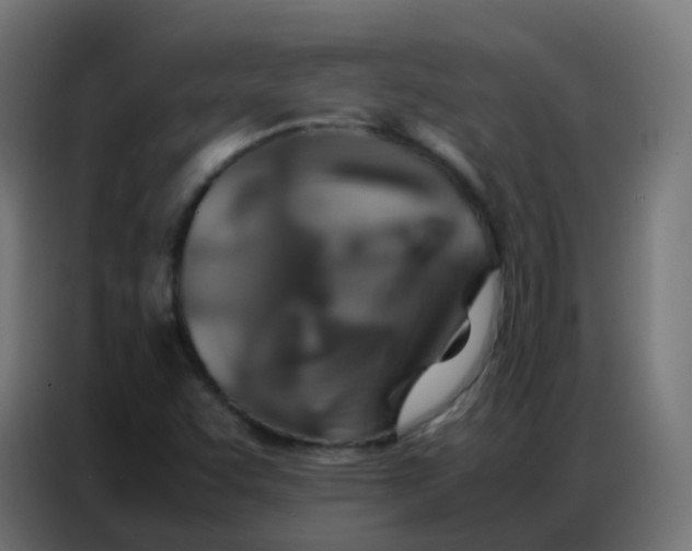 X0000086791455200705041538