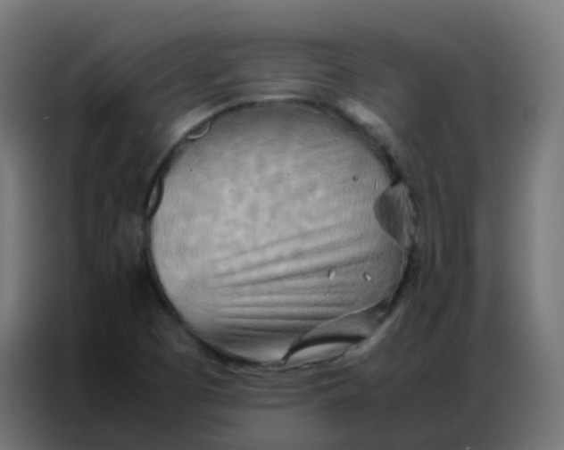 X0000086791457200705041538