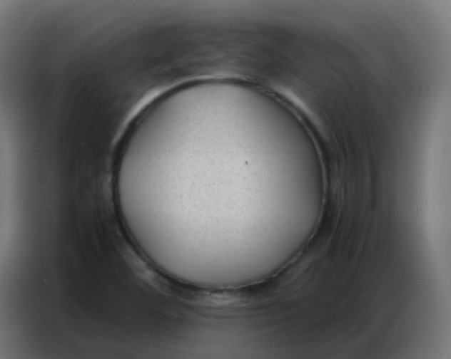 X0000086791460200705041538