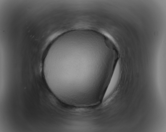 X0000086791461200705041538