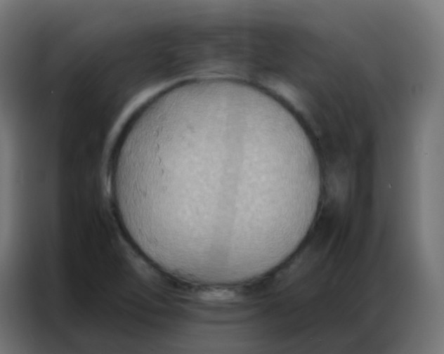 X0000086791462200705041538