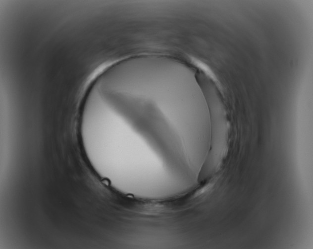 X0000086791463200705041538