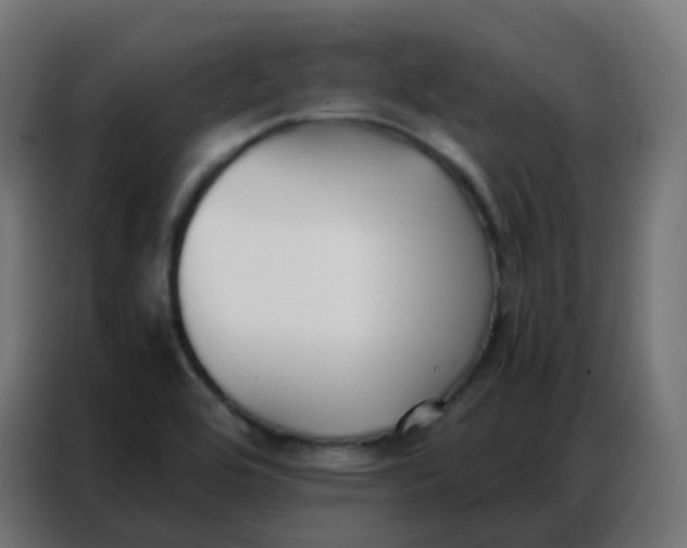 X0000086791464200705041538