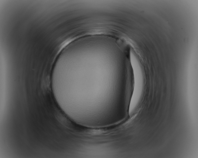 X0000086791465200705041538