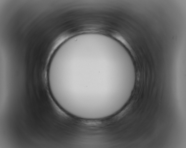 X0000086791466200705041538