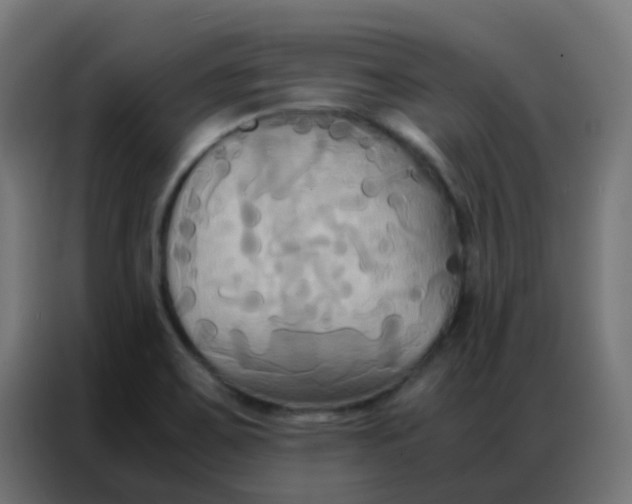 X0000086791467200705041538