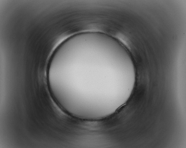 X0000086791468200705041538