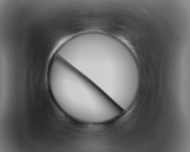 X0000086791469200705041538