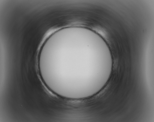 X0000086791470200705041538