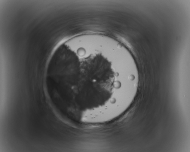 X0000086791471200705041538