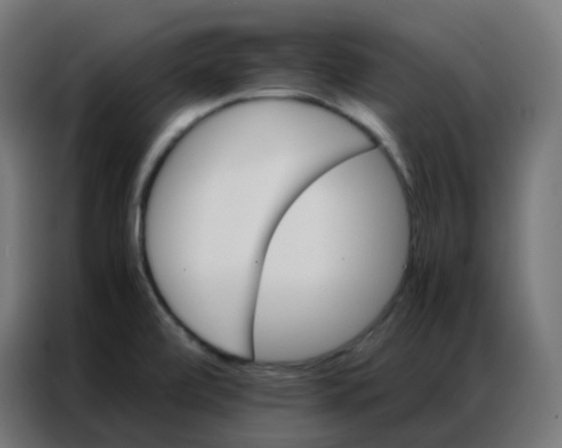 X0000086791472200705041538