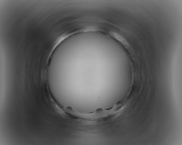 X0000086791473200705041538