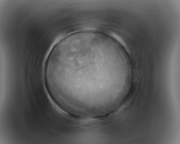 X0000086791475200705041538