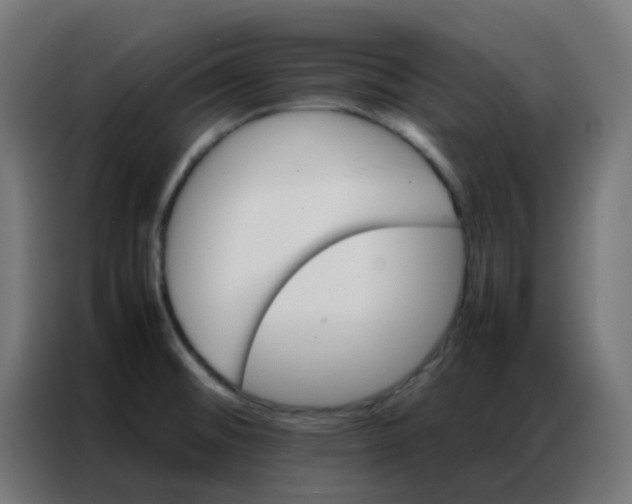 X0000086791476200705041538