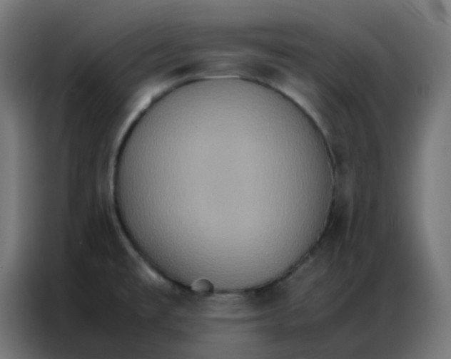 X0000086791477200705041538