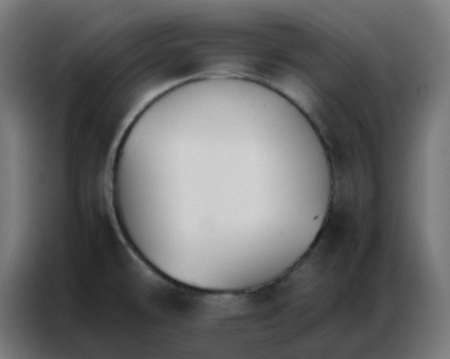 X0000086791478200705041538