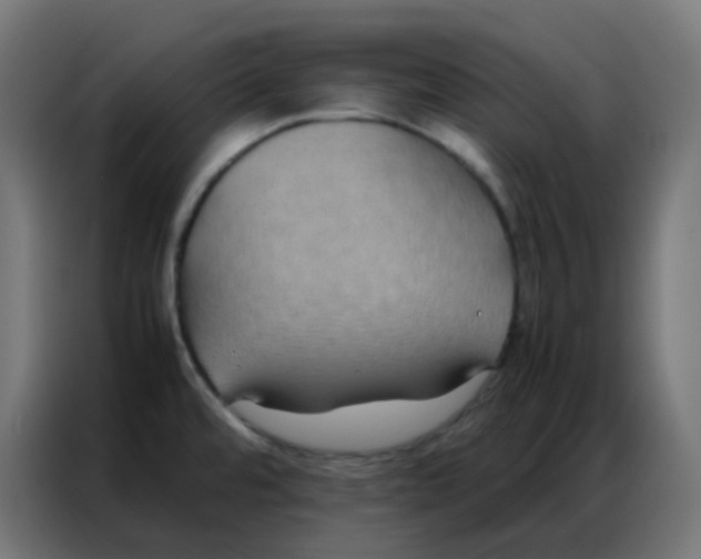 X0000086791480200705041538