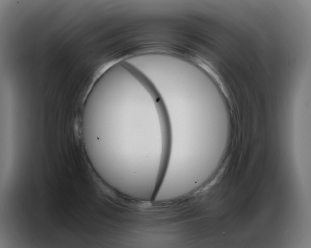 X0000086791481200705041538